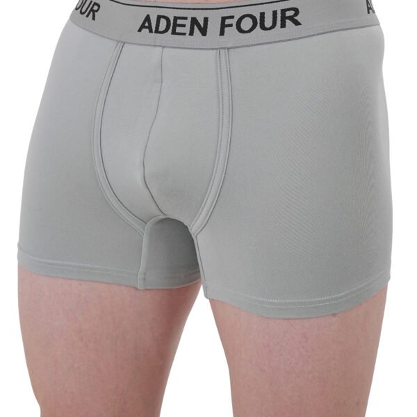 ADEN FOUR Mens Elite Grey Trunk