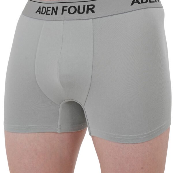 ADEN FOUR Mens Signature Grey Trunk