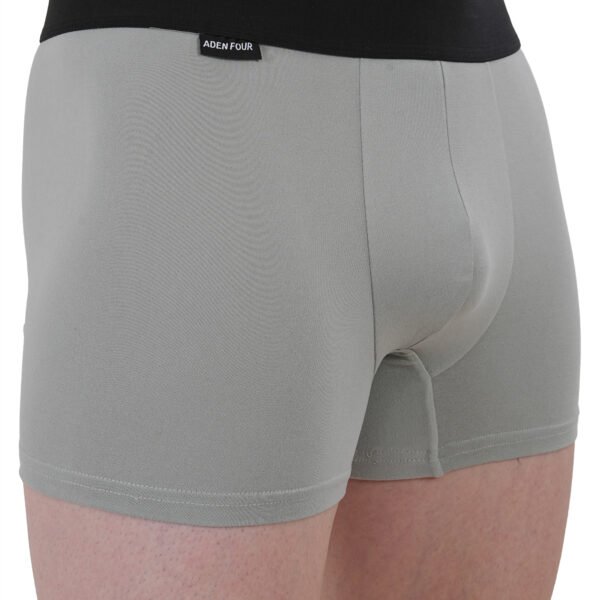 ADEN FOUR Mens Classic Grey Trunk